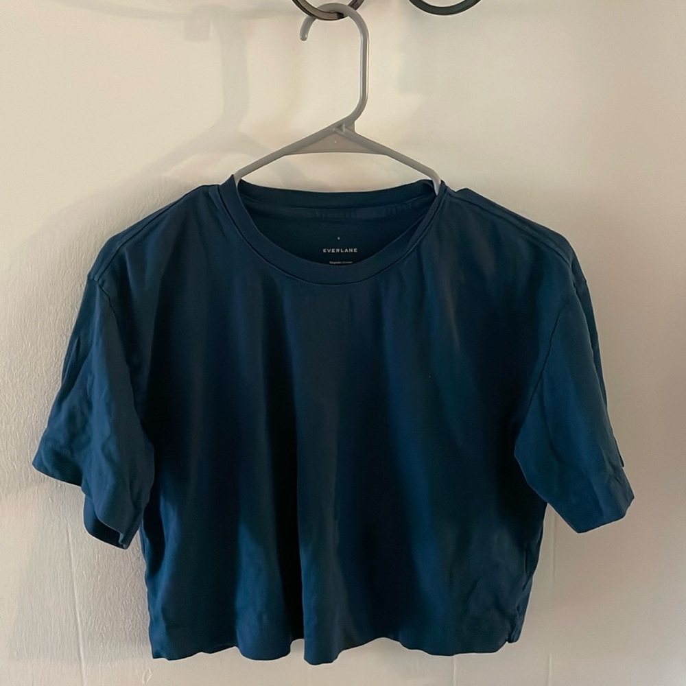 Everlane cropped tee